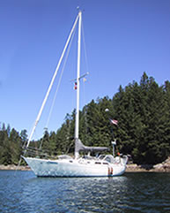 Carina