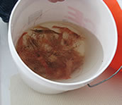 Shrimp